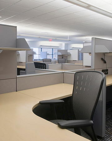 Endeca Technologies,Inc