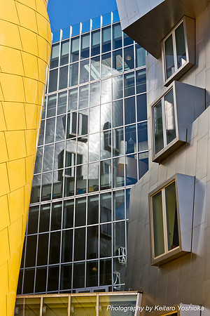 Stata Center MIT