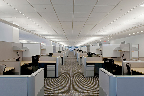 Endeca Technologies,Inc