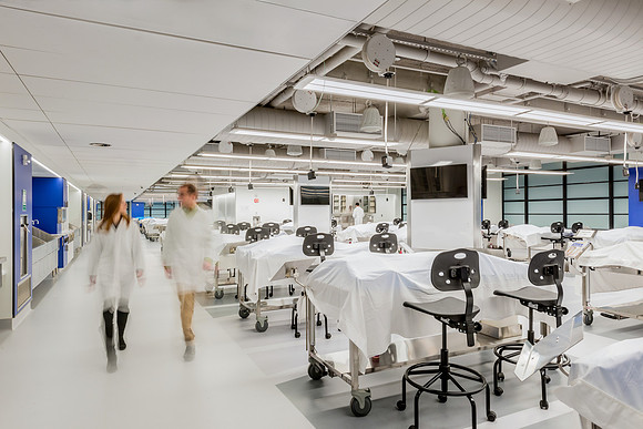 Tufts University School of Medicine Payette